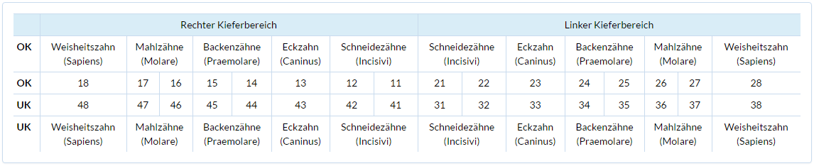 Bild zur Erklärung der Zuordnung von Zahlen zu Zähnen im Heil- und Kostenplan